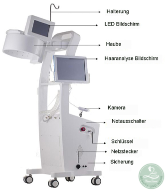 Haarwachstum